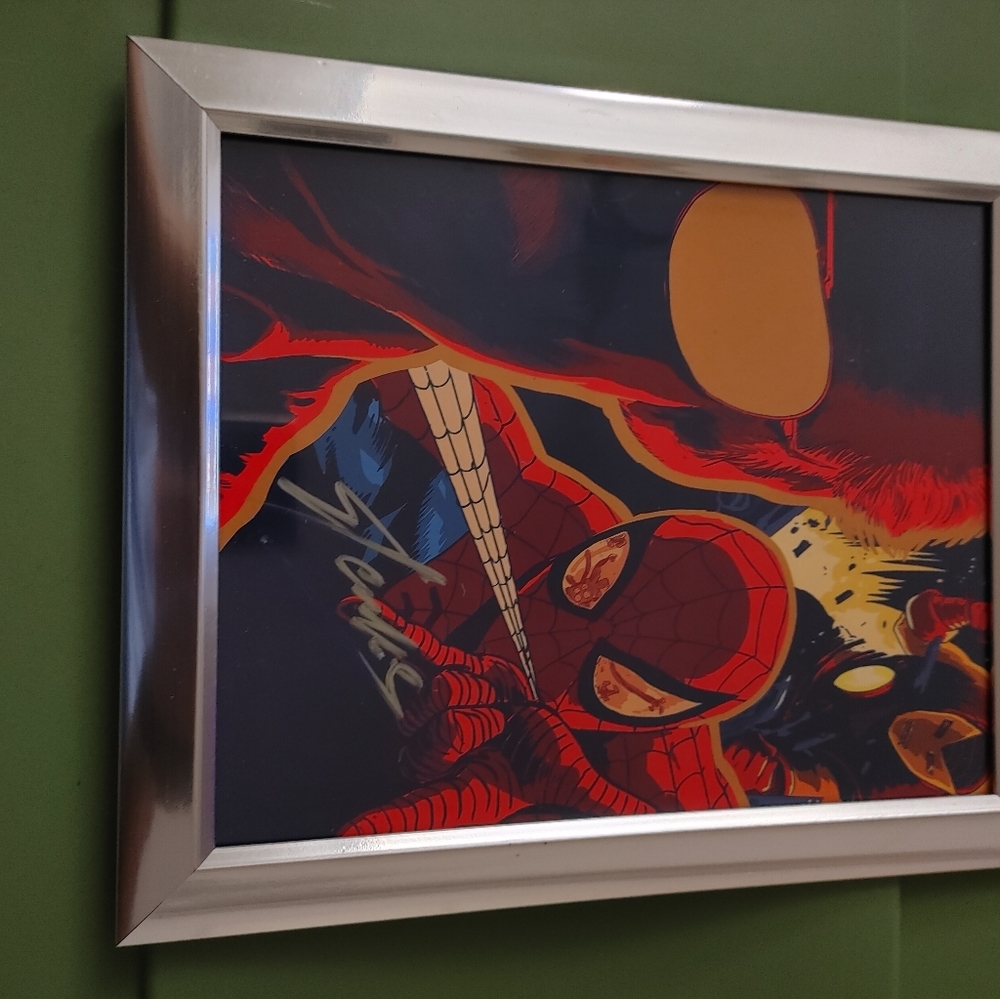 Stan Lee hand sign pic from Spider-Man